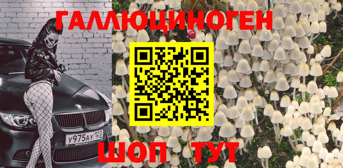 Галлюциногенные грибы MAGIC MUSHROOMS  Псилоцибиновые грибы прущие грибы  купить закладку  Джанкой  Вход с VPN 